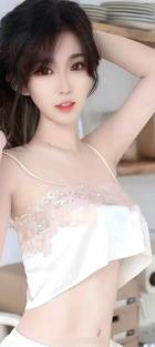 藤本树